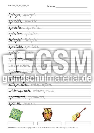 DSS_2S_Bu_sp_Nr_01.pdf